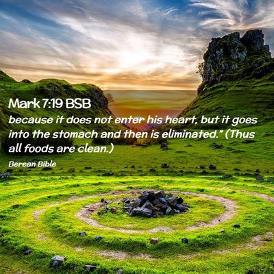 Picture 02 - Mark 7:19 BSB - because it does not enter his heart, but it goes - Bible Verse Picture