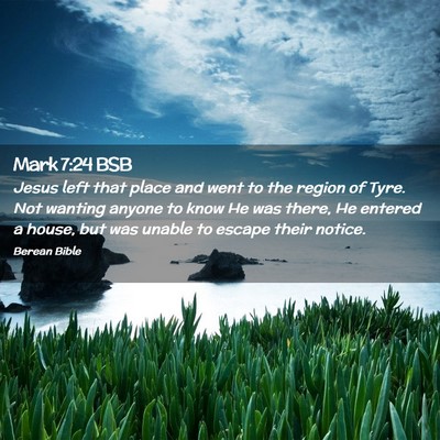 Picture 02 - Mark 7:24 BSB - Jesus left that place and went to the region of - Bible Verse Picture