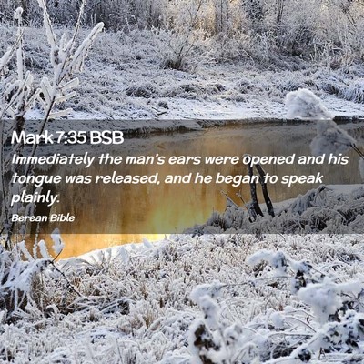 Picture 02 - Mark 7:35 BSB - Immediately the man’s ears were opened and his - Bible Verse Picture