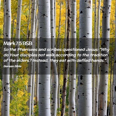 Picture 02 - Mark 7:5 BSB - So the Pharisees and scribes questioned Jesus: - Bible Verse Picture