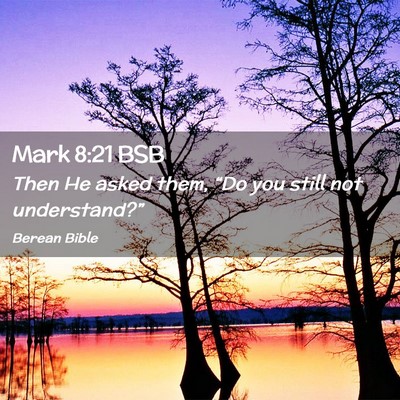 Picture 02 - Mark 8:21 BSB - Then He asked them, “Do you still not - Bible Verse Picture