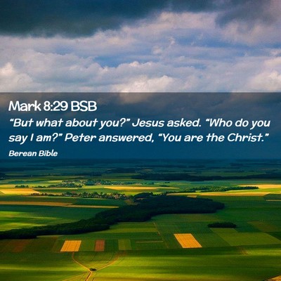 Picture 02 - Mark 8:29 BSB - “But what about you?” Jesus asked. “Who do - Bible Verse Picture