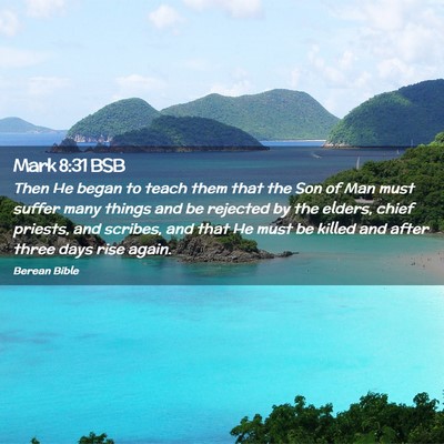 Picture 02 - Mark 8:31 BSB - Then He began to teach them that the Son of Man - Bible Verse Picture