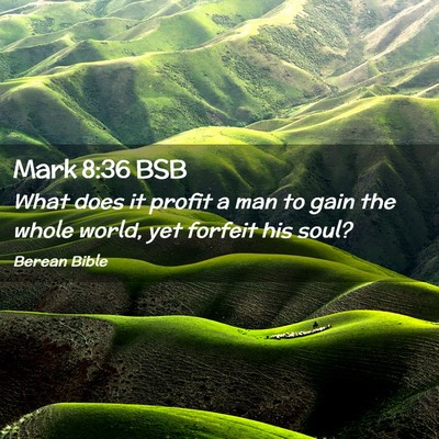 Picture 02 - Mark 8:36 BSB - What does it profit a man to gain the whole - Bible Verse Picture