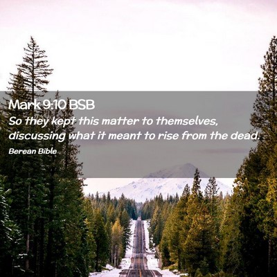 Picture 02 - Mark 9:10 BSB - So they kept this matter to themselves, - Bible Verse Picture