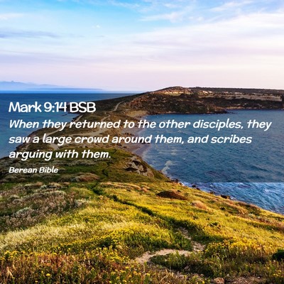 Picture 02 - Mark 9:14 BSB - When they returned to the other disciples, they - Bible Verse Picture