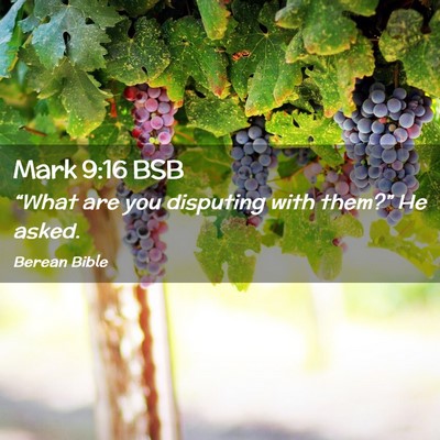 Picture 02 - Mark 9:16 BSB - “What are you disputing with them?” He - Bible Verse Picture