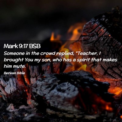 Picture 02 - Mark 9:17 BSB - Someone in the crowd replied, “Teacher, I - Bible Verse Picture