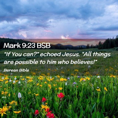 Picture 02 - Mark 9:23 BSB - “If You can?” echoed Jesus. “All things are - Bible Verse Picture