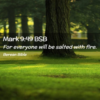Picture 02 - Mark 9:49 BSB - For everyone will be salted with - Bible Verse Picture