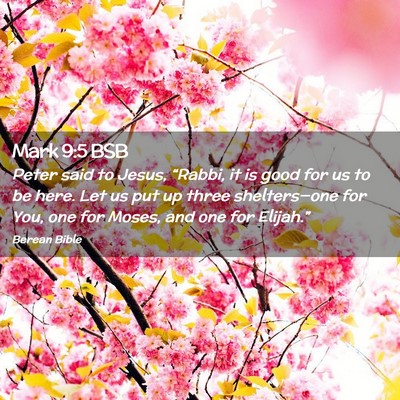 Picture 02 - Mark 9:5 BSB - Peter said to Jesus, “Rabbi, it is good for us - Bible Verse Picture
