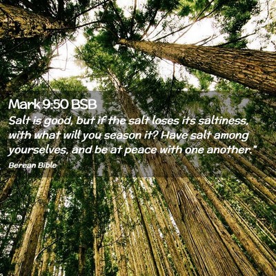 Picture 02 - Mark 9:50 BSB - Salt is good, but if the salt loses its - Bible Verse Picture