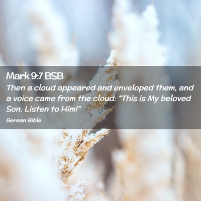 Picture 02 - Mark 9:7 BSB - Then a cloud appeared and enveloped them, and a - Bible Verse Picture