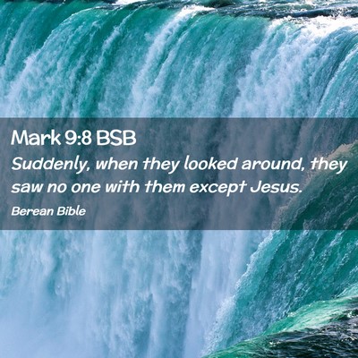 Picture 02 - Mark 9:8 BSB - Suddenly, when they looked around, they saw no - Bible Verse Picture