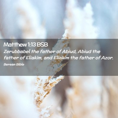 Picture 02 - Matthew 1:13 BSB - Zerubbabel the father of Abiud, Abiud the father - Bible Verse Picture