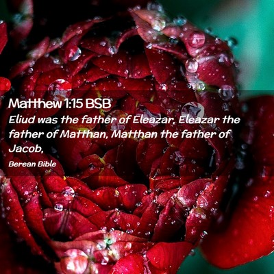 Picture 02 - Matthew 1:15 BSB - Eliud was the father of Eleazar, Eleazar the - Bible Verse Picture