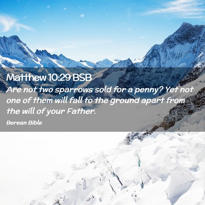 Picture 02 - Matthew 10:29 BSB - Are not two sparrows sold for a penny? Yet not - Bible Verse Picture