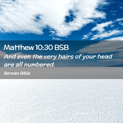 Picture 02 - Matthew 10:30 BSB - And even the very hairs of your head are all - Bible Verse Picture