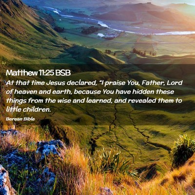 Picture 02 - Matthew 11:25 BSB - At that time Jesus declared, “I praise You, - Bible Verse Picture