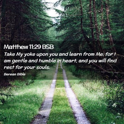 Picture 02 - Matthew 11:29 BSB - Take My yoke upon you and learn from Me; for I am - Bible Verse Picture