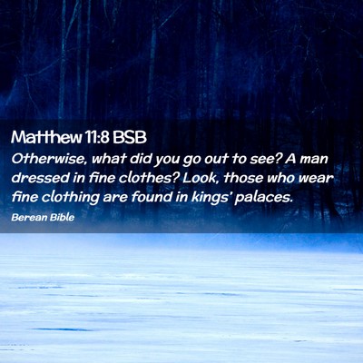 Picture 02 - Matthew 11:8 BSB - Otherwise, what did you go out to see? A man - Bible Verse Picture