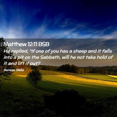 Picture 02 - Matthew 12:11 BSB - He replied, “If one of you has a sheep and it - Bible Verse Picture
