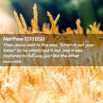 Picture 02 - Matthew 12:13 BSB - Then Jesus said to the man, “Stretch out your - Bible Verse Picture