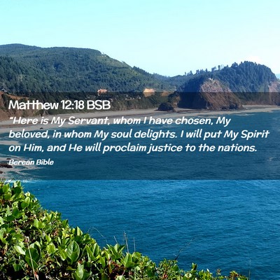 Picture 02 - Matthew 12:18 BSB - “Here is My Servant, whom I have chosen, My - Bible Verse Picture