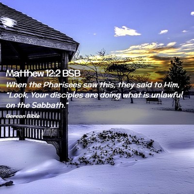 Picture 02 - Matthew 12:2 BSB - When the Pharisees saw this, they said to Him, - Bible Verse Picture