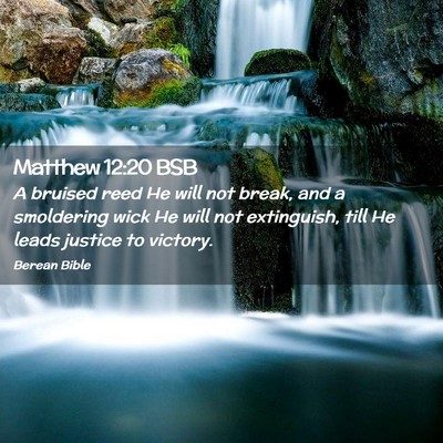 Picture 02 - Matthew 12:20 BSB - A bruised reed He will not break, and a - Bible Verse Picture