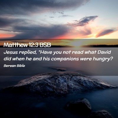 Picture 02 - Matthew 12:3 BSB - Jesus replied, “Have you not read what David - Bible Verse Picture