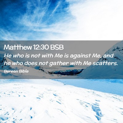 Picture 02 - Matthew 12:30 BSB - He who is not with Me is against Me, and he who - Bible Verse Picture