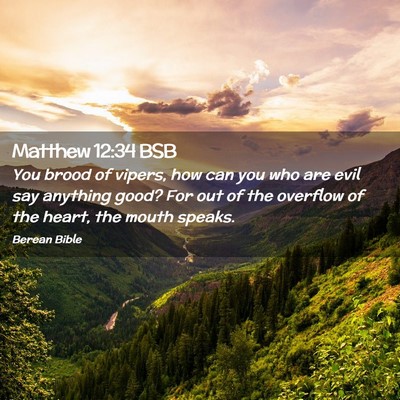 Picture 02 - Matthew 12:34 BSB - You brood of vipers, how can you who are evil say - Bible Verse Picture