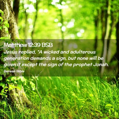 Picture 02 - Matthew 12:39 BSB - Jesus replied, “A wicked and adulterous - Bible Verse Picture