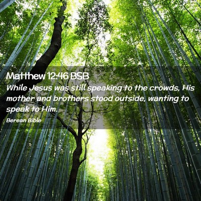 Picture 02 - Matthew 12:46 BSB - While Jesus was still speaking to the crowds, His - Bible Verse Picture
