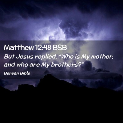 Picture 02 - Matthew 12:48 BSB - But Jesus replied, “Who is My mother, and who - Bible Verse Picture