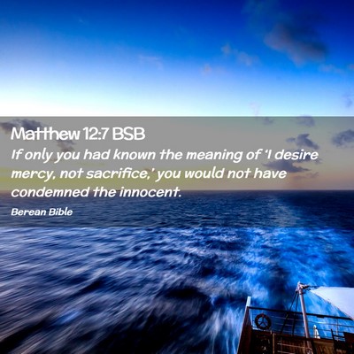 Picture 02 - Matthew 12:7 BSB - If only you had known the meaning of ‘I desire - Bible Verse Picture