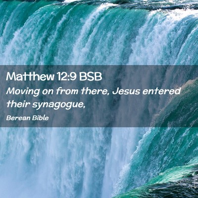 Picture 02 - Matthew 12:9 BSB - Moving on from there, Jesus entered their - Bible Verse Picture