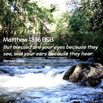 Picture 02 - Matthew 13:16 BSB - But blessed are your eyes because they see, and - Bible Verse Picture