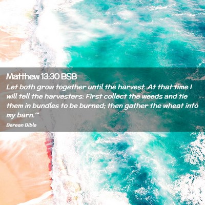Picture 02 - Matthew 13:30 BSB - Let both grow together until the harvest. At that - Bible Verse Picture