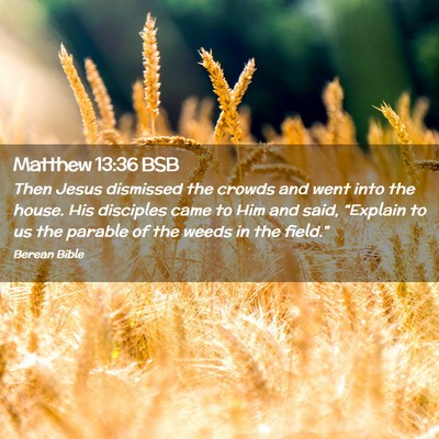 Picture 02 - Matthew 13:36 BSB - Then Jesus dismissed the crowds and went into the - Bible Verse Picture