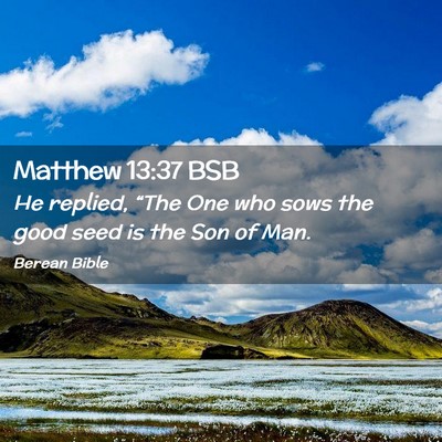 Picture 02 - Matthew 13:37 BSB - He replied, “The One who sows the good seed is - Bible Verse Picture