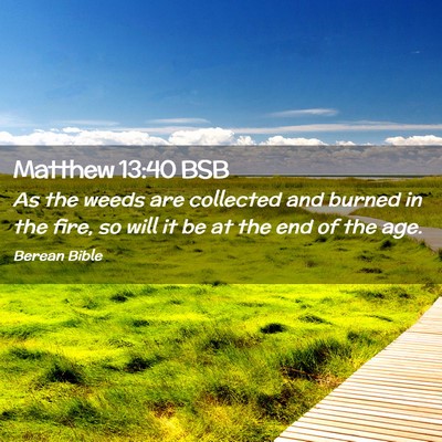 Picture 02 - Matthew 13:40 BSB - As the weeds are collected and burned in the - Bible Verse Picture