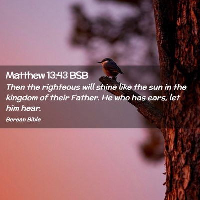 Picture 02 - Matthew 13:43 BSB - Then the righteous will shine like the sun in the - Bible Verse Picture