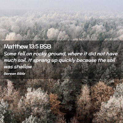 Picture 02 - Matthew 13:5 BSB - Some fell on rocky ground, where it did not have - Bible Verse Picture