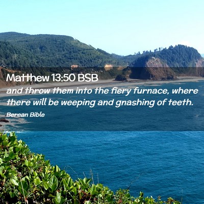 Picture 02 - Matthew 13:50 BSB - and throw them into the fiery furnace, where - Bible Verse Picture