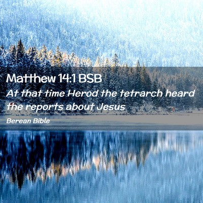 Picture 02 - Matthew 14:1 BSB - At that time Herod the tetrarch heard the reports - Bible Verse Picture