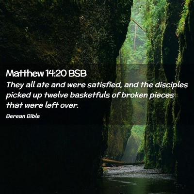 Picture 02 - Matthew 14:20 BSB - They all ate and were satisfied, and the - Bible Verse Picture
