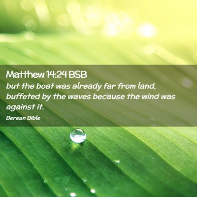 Picture 02 - Matthew 14:24 BSB - but the boat was already far from land, buffeted - Bible Verse Picture