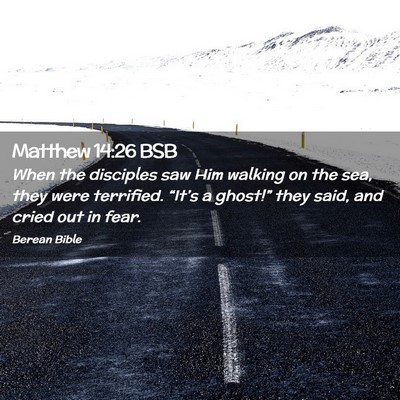 Picture 02 - Matthew 14:26 BSB - When the disciples saw Him walking on the sea, - Bible Verse Picture